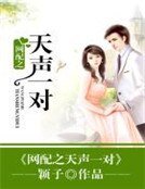 網配之天聲一對